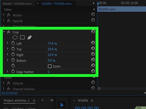 How to Crop an Image in Premiere Pro: A Guide to Unlocking Creative Possibilities While Pondering the Meaning of Cropping in Life